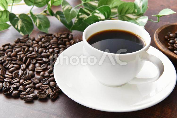 コーヒー　イメージ コーヒー,コーヒー豆,珈琲豆の写真素材