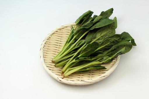 新鮮なほうれん草の束 新鮮なほうれん草の束 ほうれん草,葉物野菜,緑色の写真素材