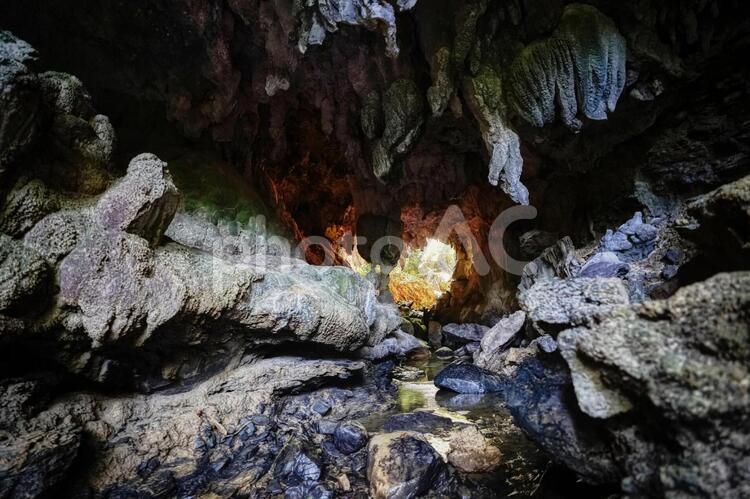 西表島の洞窟 洞窟,鍾乳洞,探検の写真素材
