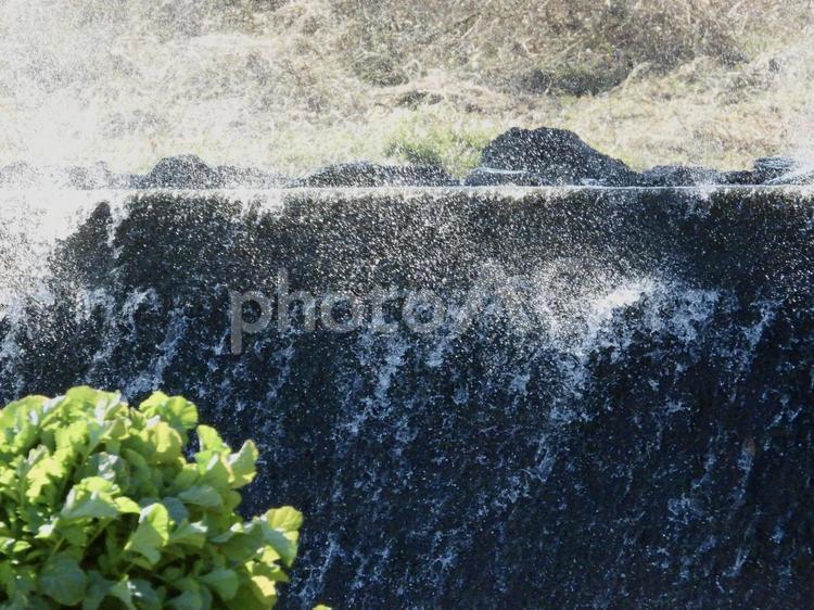 強風による水しぶき 堰堤,水,川辺の写真素材