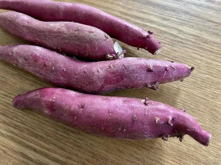 芽が出たさつまいも 芽が出たさつまいも さつまいも,芋,秋の味覚の写真素材