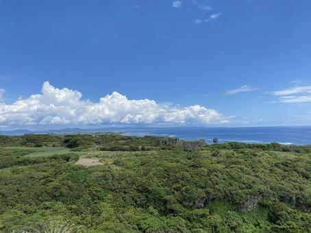 青空と海と森 青空と海と森の写真