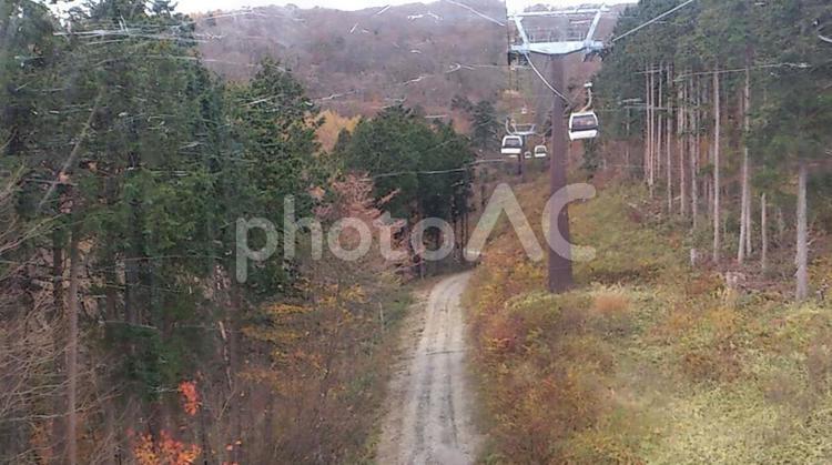 秋の風景 秋,もみじ,紅葉の写真素材