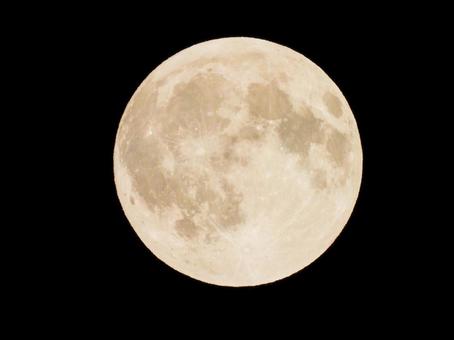 9月の満月Harvest Moon 9月の満月Harvest Moon ハーベストムーン,harvest,moonの写真素材