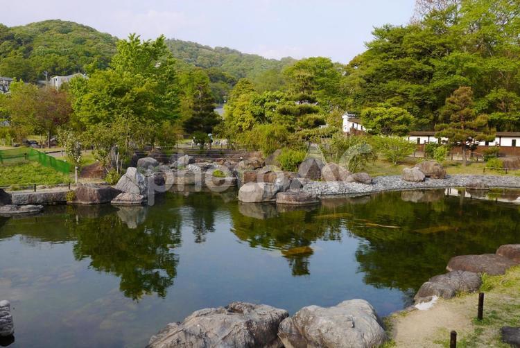 池田城天守から見下ろす庭園 池田城跡公園,芝生,広場の写真素材