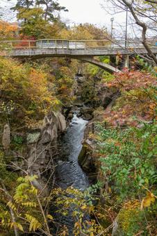秋の磊々峡⑺ 秋,紅葉,磊々峡の写真素材