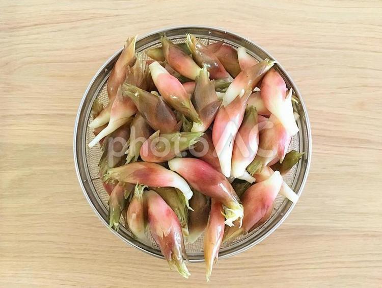 自家製みょうが みょうが,ミョウガ,薬味の写真素材