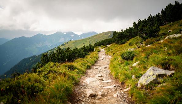 ハイキングコースの山道の写真