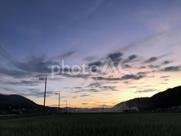 稲の実が膨れ始めた夕暮れ時 夕暮れ,そら,夕方の写真素材