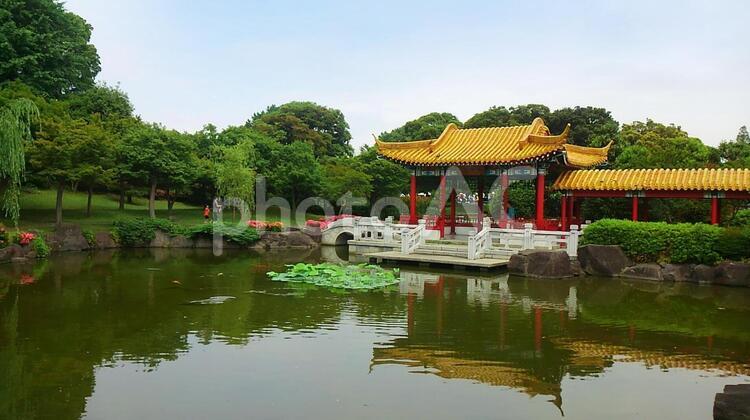 瀋秀園　池と藕香榭 瀋秀園,藕香榭,池の写真素材