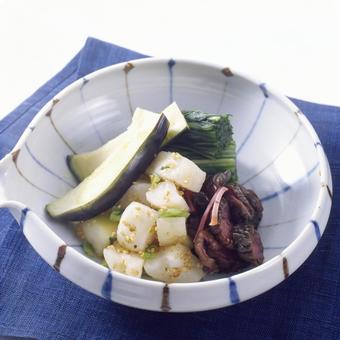 漬物 水なす ごま大根 胡瓜しば漬け 漬物 水なす ごま大根 胡瓜しば漬け 漬物,盛り合わせ,水茄子の写真素材