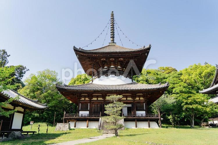 和歌山　根来寺　大塔 根来寺,寺,和歌山県の写真素材