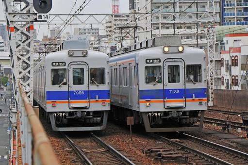 南海電車 南海電車 鉄道,ディーゼルカー,汽車の写真素材