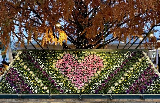 フラワーアレンジ 花手水,花,ガーデンの写真素材