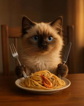 スパゲティを食べようとするシャムミックス スパゲティを食べようとするシャムミックスの写真