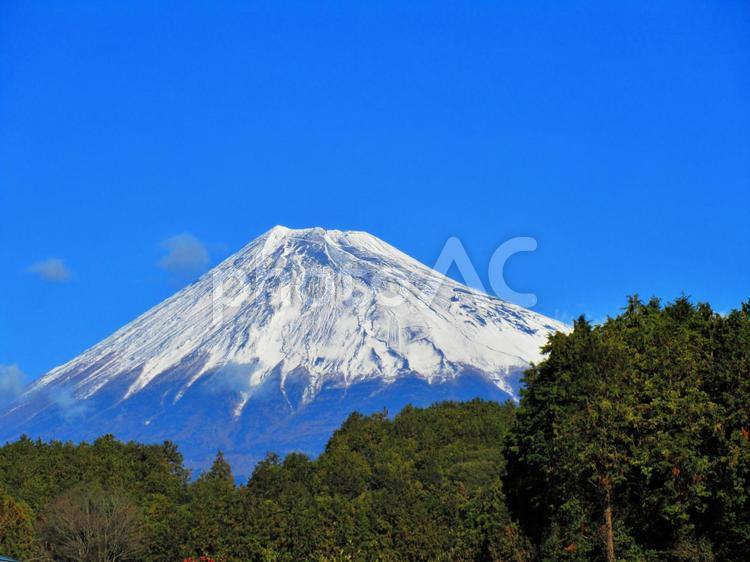 森の木の向こうに見える富士山3 富士山,森,木の写真素材