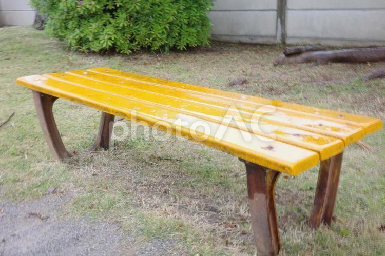 静寂の公園、雨上がりのベンチ ベンチ,公園,雨の写真素材