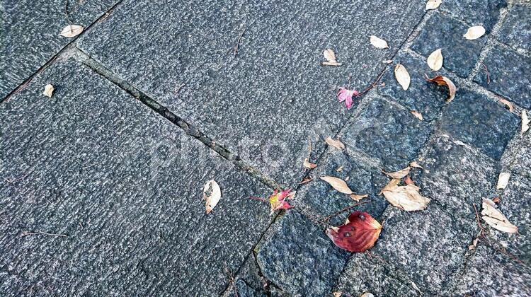 街中の落ち葉 石,バックグランド,何人もありませんの写真素材