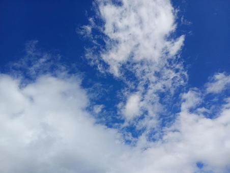 秋の空 空,自然,晴天の写真素材