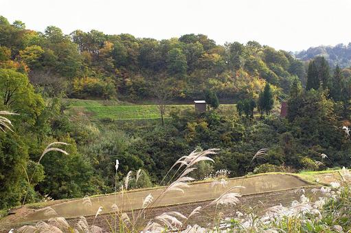 25年　山古志種苧原　紅葉 山,きれい,木の写真素材