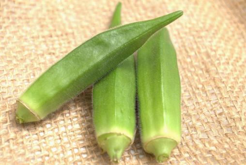 収穫した新鮮なオクラ オクラ,おくら,野菜の写真素材