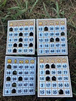 ビンゴカード 穴あき ビンゴカード 穴あきの写真