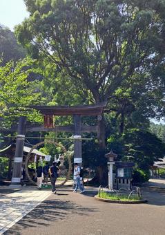 茅の輪くぐり 茅の輪くぐりの写真