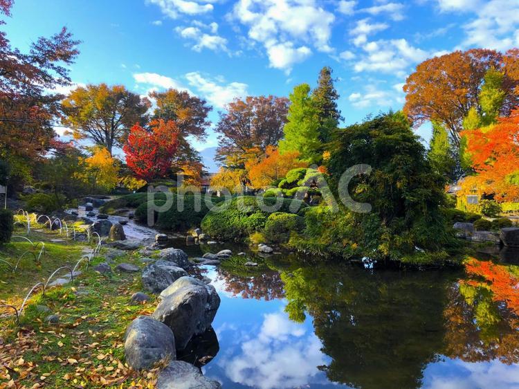 長野・秋の高島公園（高島城） 紅葉,青空,秋の写真素材