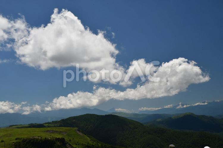 美ヶ原高原　青い空と白い雲 草,屋外で,晴れの写真素材