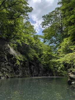 大倉川 大倉川の写真