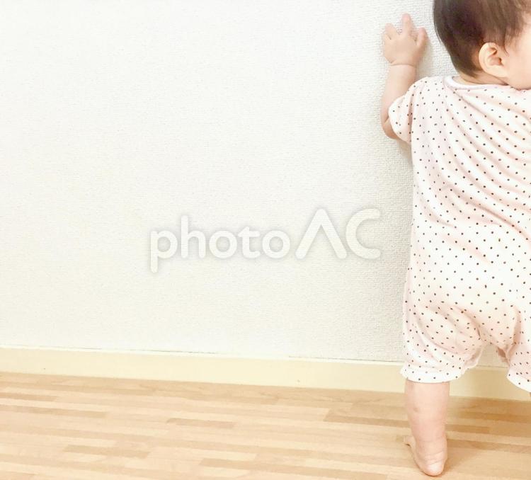 つかまり立ちをする赤ちゃん 赤ちゃん,立っち,つかまり立ちの写真素材
