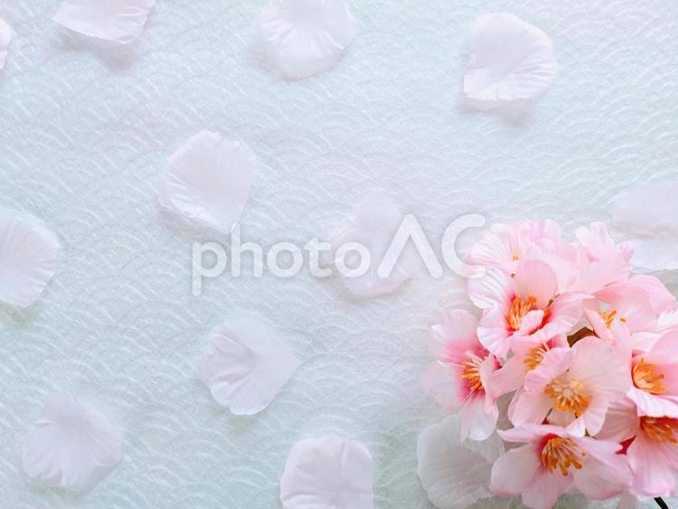 背景素材（桜＆花びら） テクスチャ,背景素材,春の写真素材