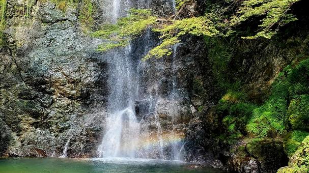 滝壺にかかる虹と木々 岩肌 水しぶき 滝壺にかかる虹と木々 岩肌 水しぶき 滝,滝壺,虹の写真素材
