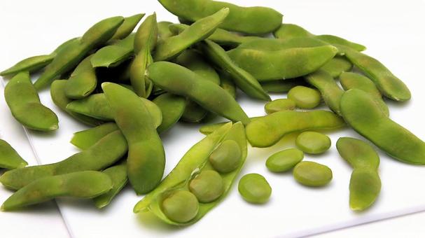 枝豆(茶豆) 枝豆(茶豆)の写真