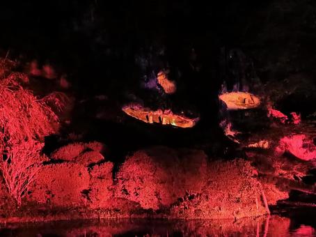 ライトアップされた那谷寺(石川県)9 ライトアップされた那谷寺(石川県)9 那谷寺,なたでら,ライトアップの写真素材