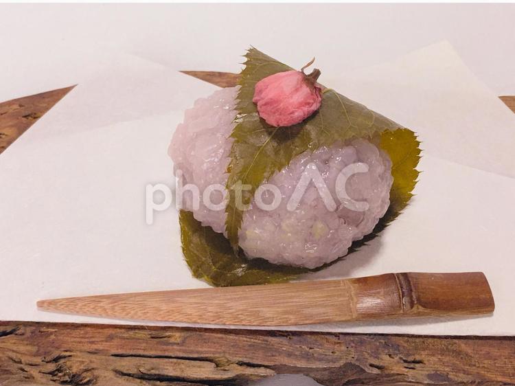 懐紙にのせた1つの桜餅（正面アップ） 桜餅,和菓子,伝統和菓子の写真素材