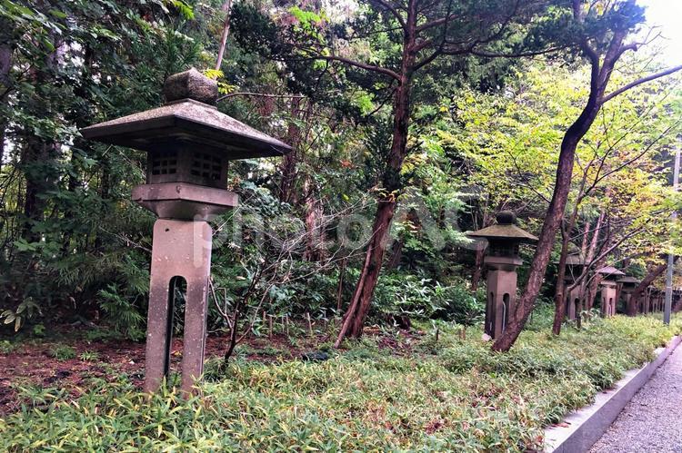 北海道神宮の燈籠 北海道神宮,燈籠,神社の写真素材