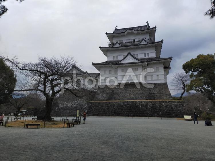 小田原城　天守閣 小田原城,天守閣,神奈川県の写真素材