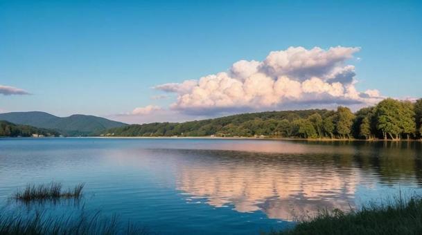 #875 風景の写真