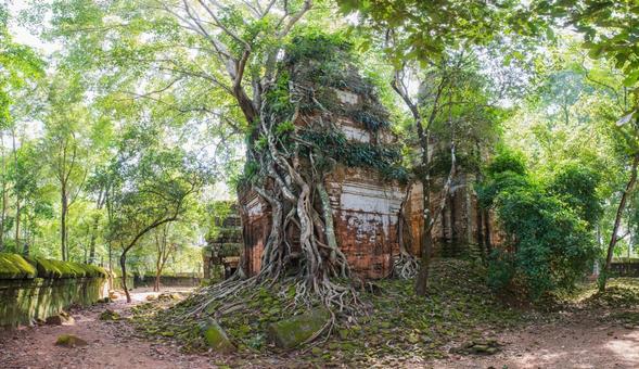 カンボジア・ベンメリア遺跡 カンボジア・ベンメリア遺跡の写真