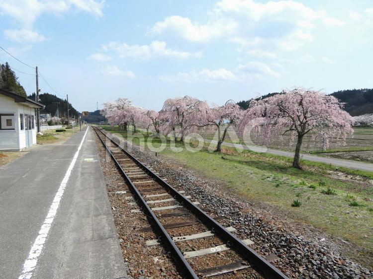 磐越東線夏井駅のホーム 夏井駅,ホーム,線路の写真素材