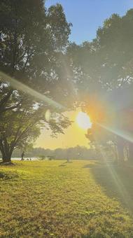 Warm sunshine, JPG