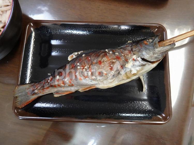 祖谷料理　あめごの塩焼き あめごの塩焼き,祖谷料理,徳島名物の写真素材