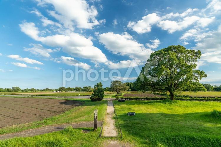 田舎の風景 空,青空,雲の写真素材