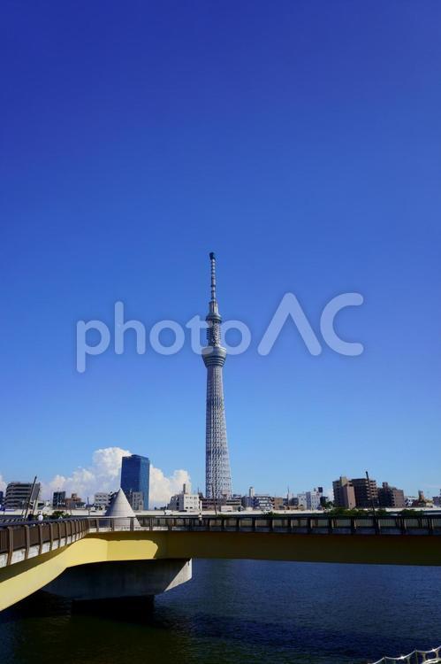 東京スカイツリーのある風景２ 東京,風景,スカイツリーの写真素材