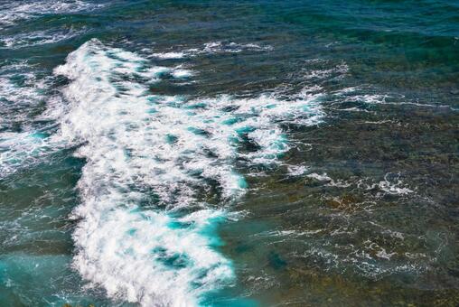 海 波 海 波の写真