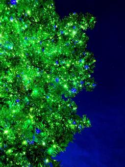 イルミネーション イルミネーション,電飾,光の写真素材