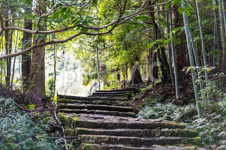 熊野古道の階段 熊野古道,道,階段の写真素材