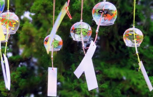 風に靡く風鈴 風に靡く風鈴 風鈴,ガラス,風鈴祭りの写真素材