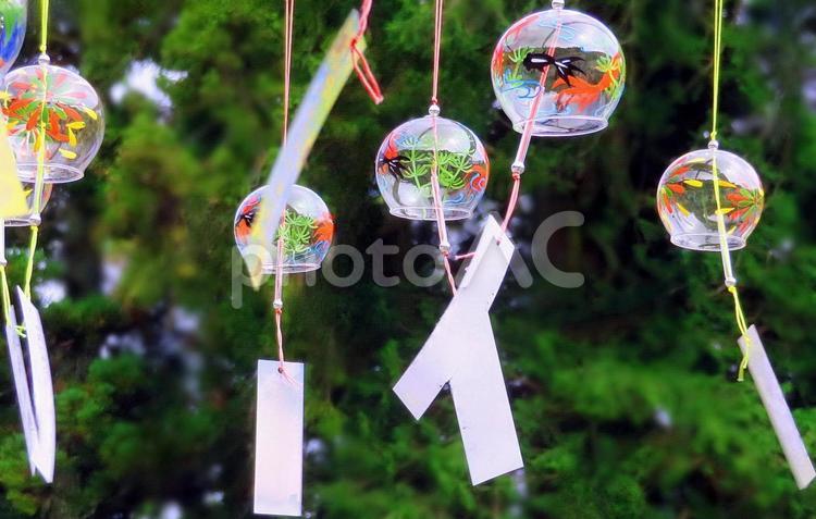 風に靡く風鈴 風鈴,ガラス,風鈴祭りの写真素材